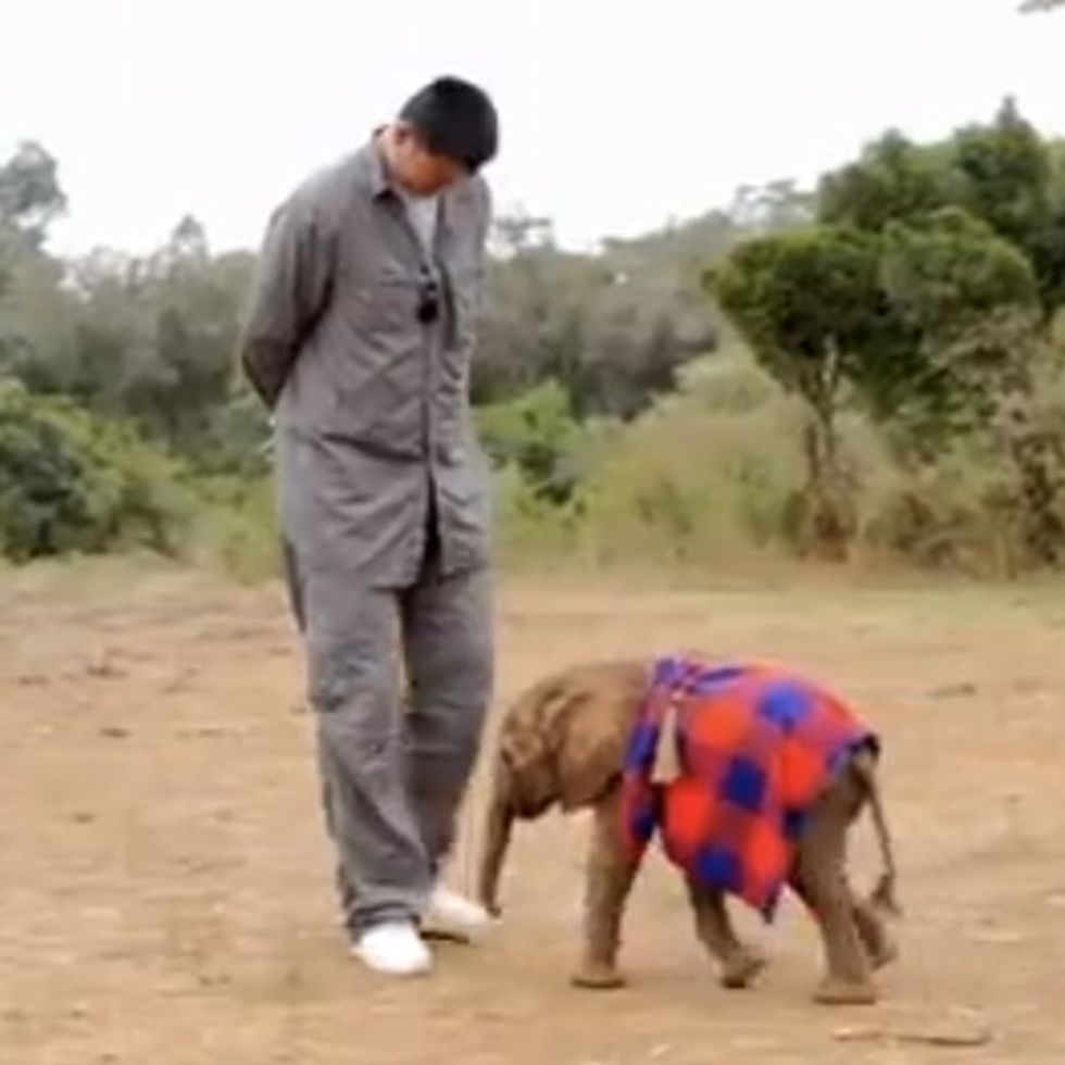 So this is what you do when you leave the NBA.