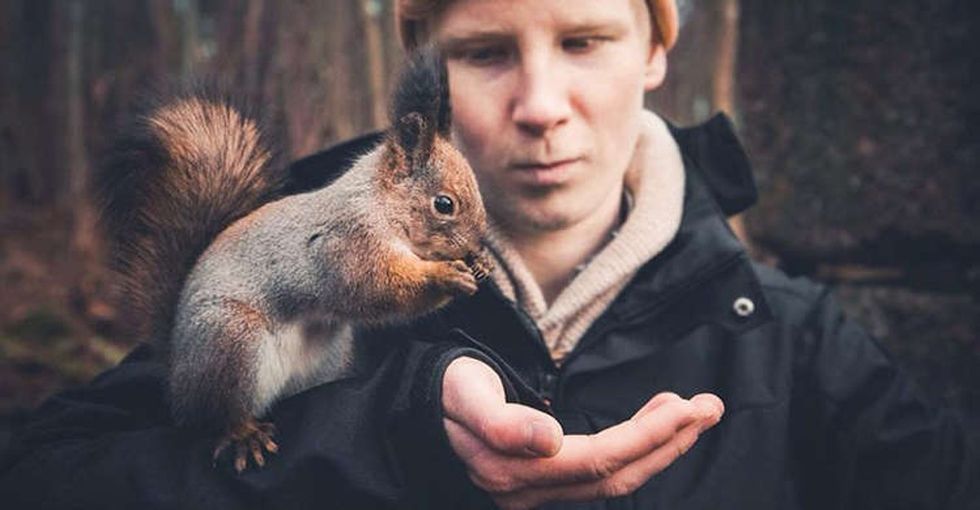 17 candid photos that capture animals and their mysterious emotions.