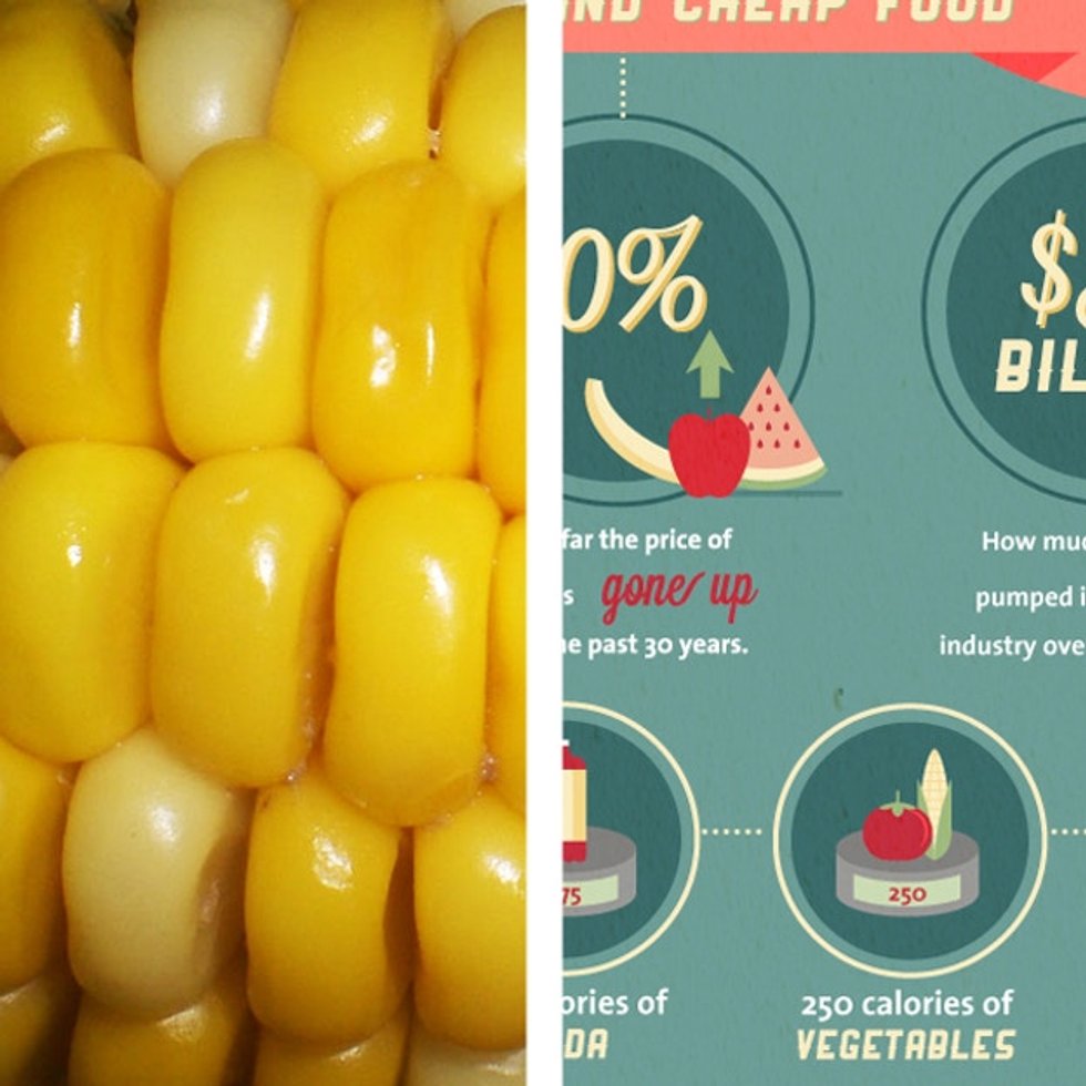 this overly processed husk hides the disaster behind every bite must-see
