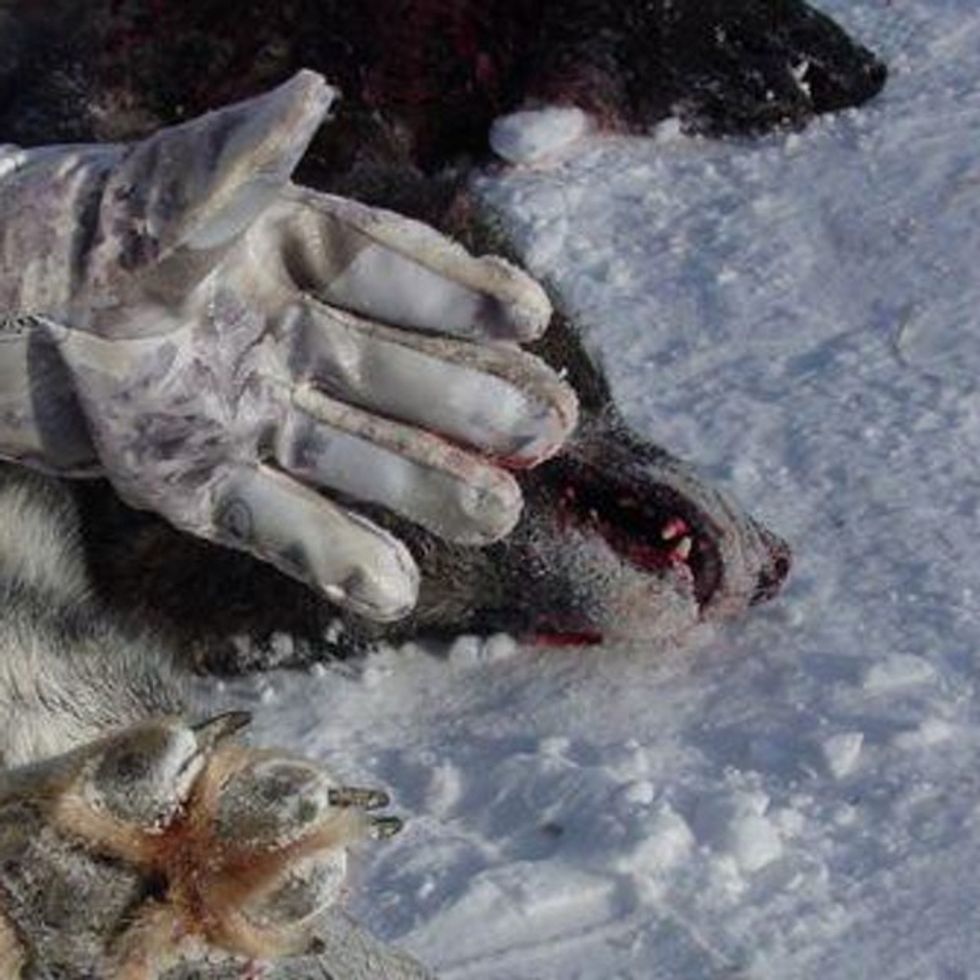 These Are Some Of The Toughest (But Important) Photos I’ve Seen This Week