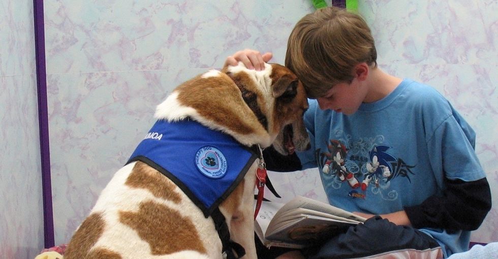 Reading in front of a class can be stressful for kids. Luckily, dogs can make it easier.