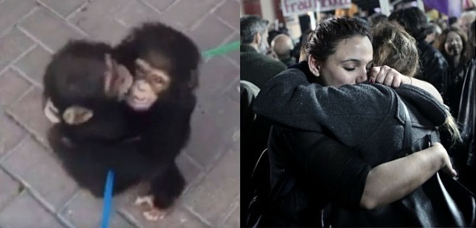 How one act of chimpanzee affection can teach us all to hug more.