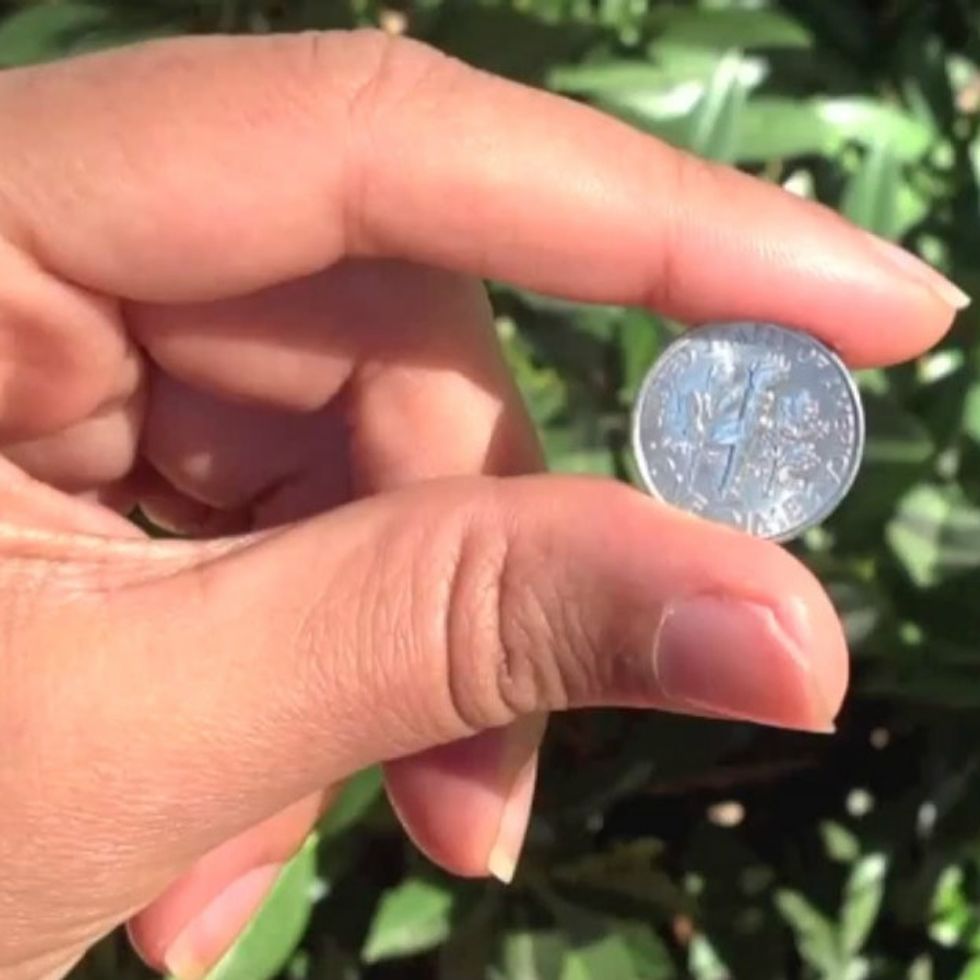 10 Cents Can’t Buy Anything These Days. Or Can It?