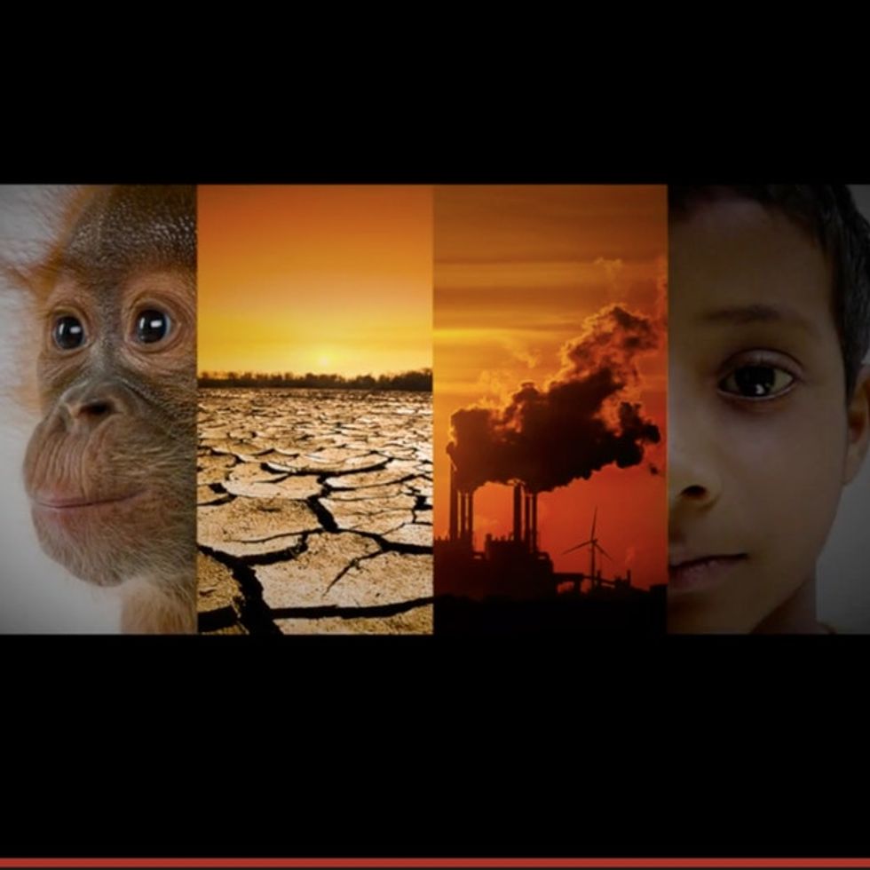 If You're A Human Being, You're Going To Want To See This