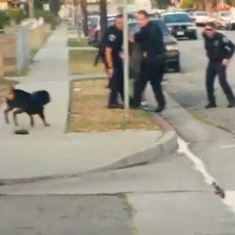 Dog Tries To Save Owner After Cops Handcuff Him. What Ensues Is Heartbreaking. (GRAPHIC CONTENT)