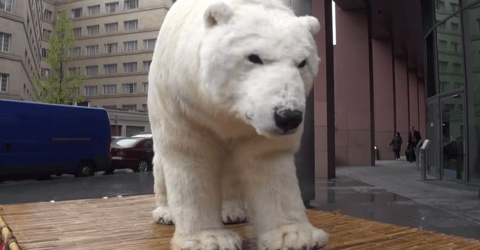 Tired of hearing how humans have destroyed the planet? You're in for a surprise with this clip.