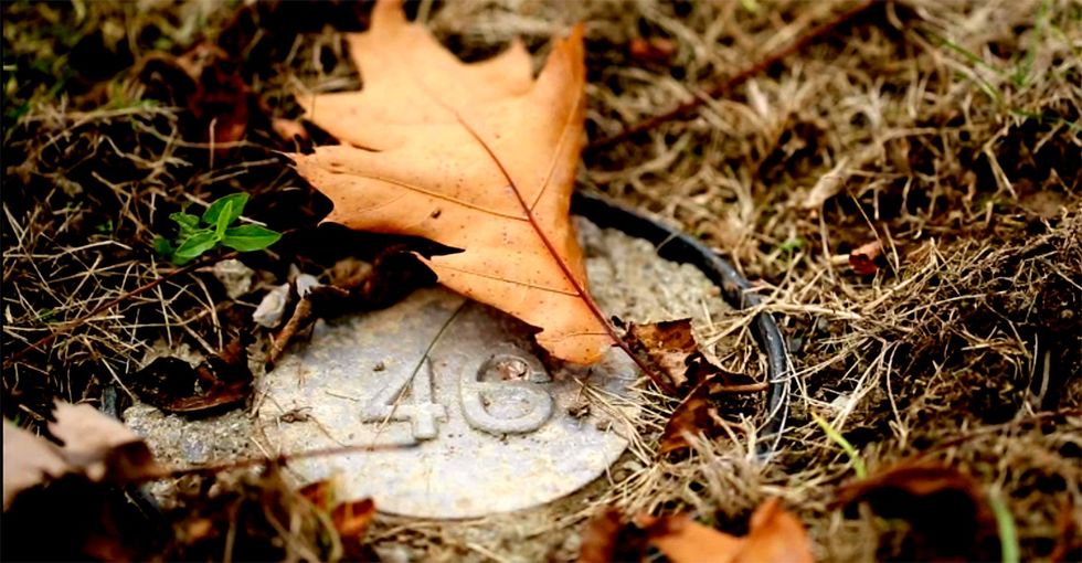 It’s Just A Grassy Field With Numbers, But Each Number Hides A Life Story