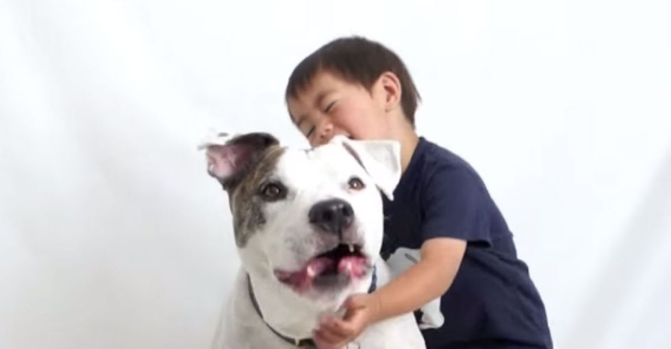 The pit bull used to watch over kids. But now it's got a bad rep. Here's how to fix it.