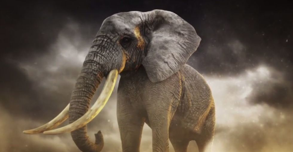 The endangered elephants of Africa have an unlikely hero: Billy Joel.
