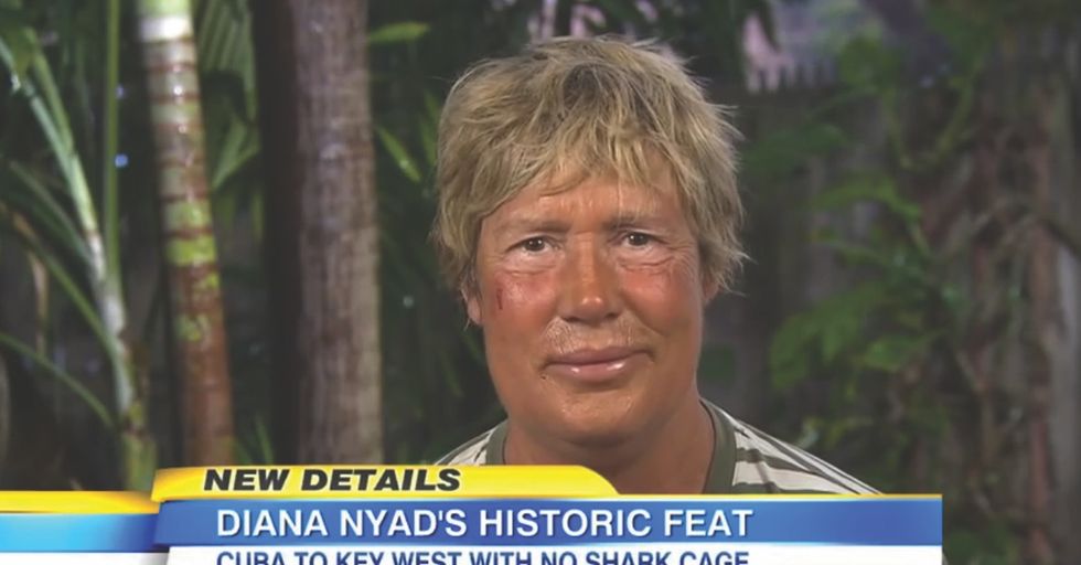 If Merriam-Webster Defined 'Amazeballs,' I'm Pretty Sure Diana Nyad Would Be It