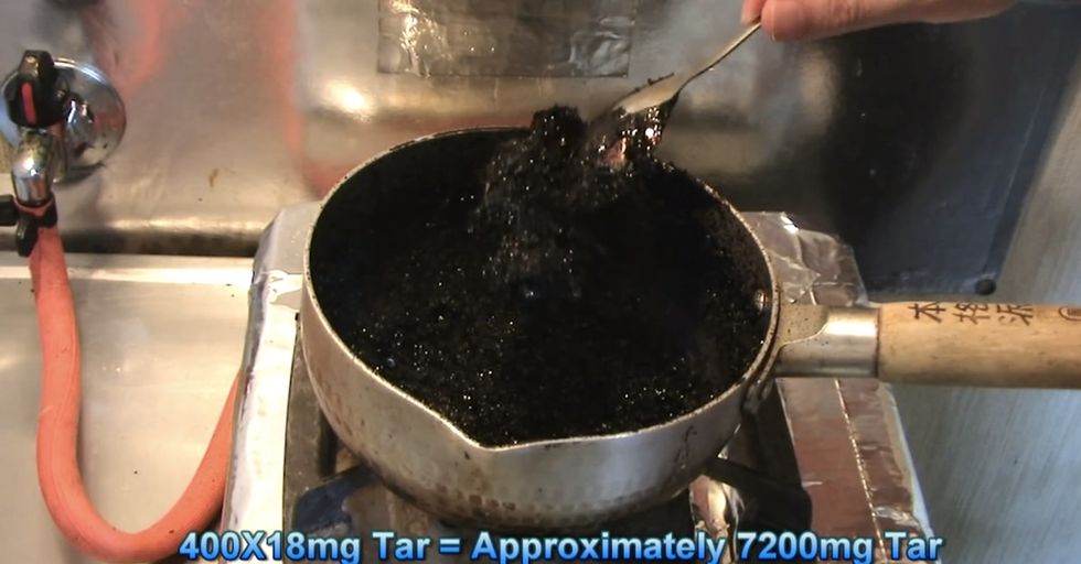 The Most Disgusting Science Experiment I've Ever Seen, Or A Terrifying Wake-Up Call?