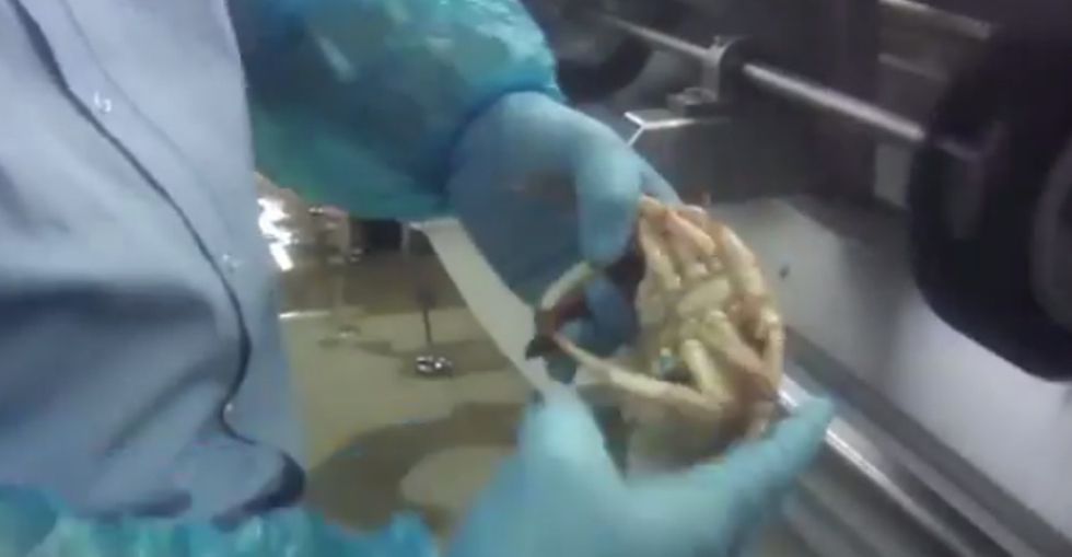 Something To Keep In Mind Next Time You're Thinking About Ordering Crab Or Lobster
