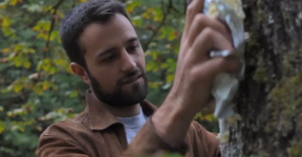 You Should Watch This Strange Man Rub A Stick Of Butter On A Tree. For A Really Good Reason.