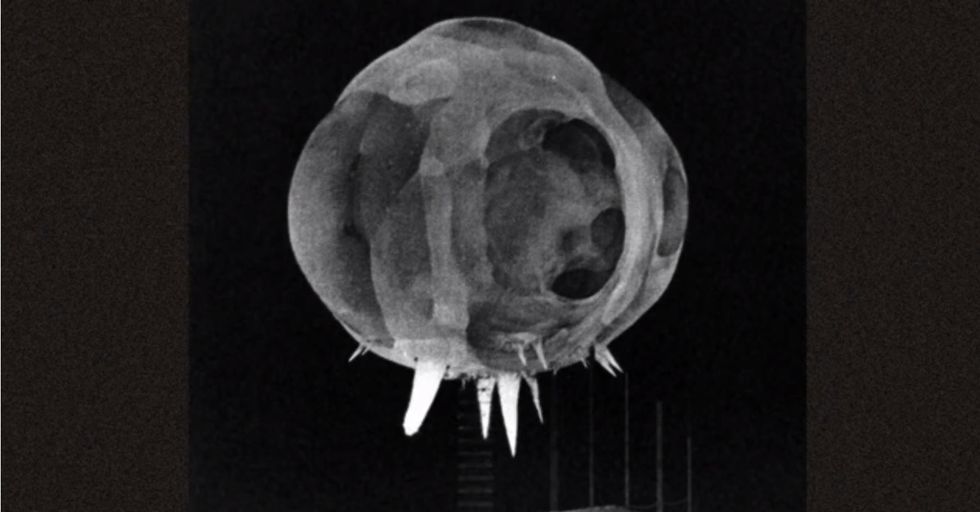 It's Not A Ghost Or An Alien. It's Real, And It's Way Scarier.