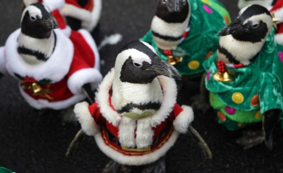 I Can’t Promise Santa Will Give You More Presents If You Follow These Tips … But Maybe?