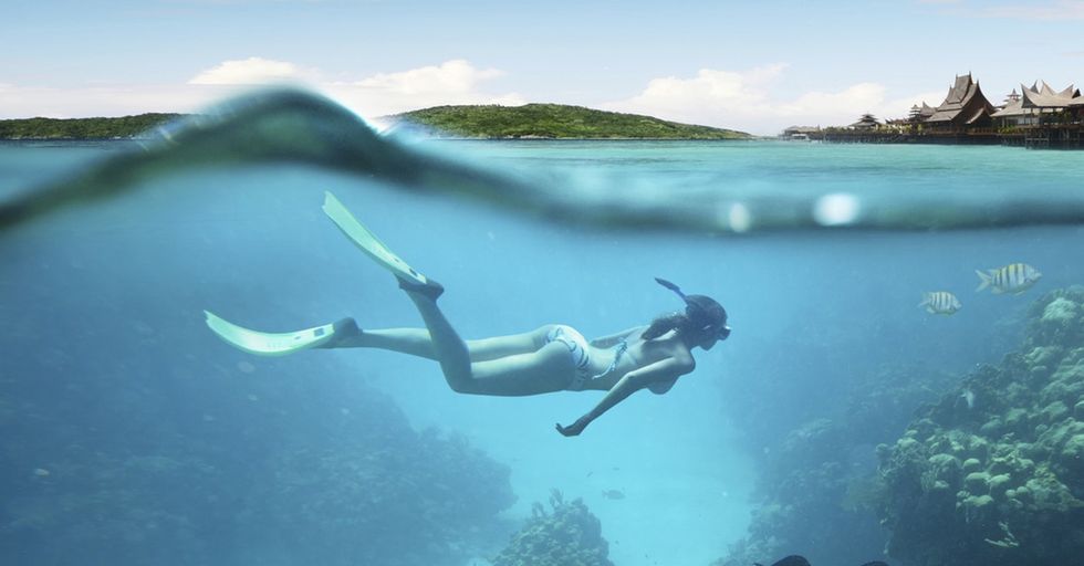 Here's a fact about sharks and humans that'll stay with you every hour on the hour today.