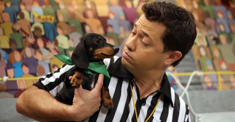 Animal Planet's Puppy Bowl returns with an exciting change.