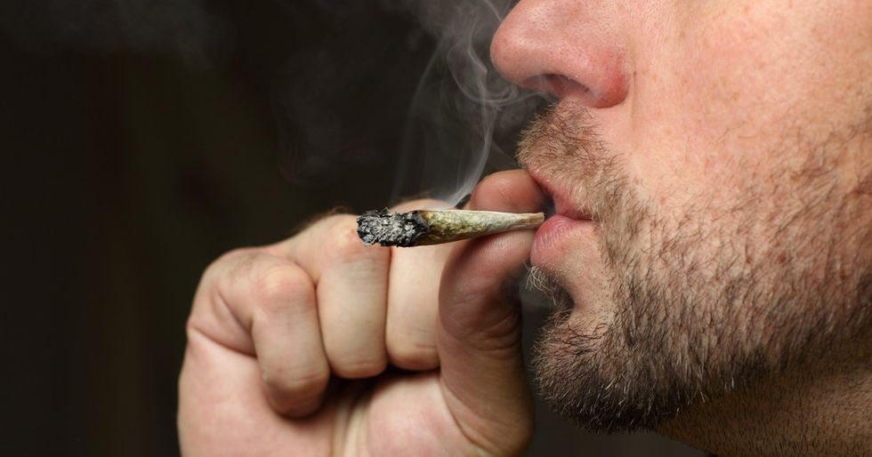 The Only Way You Won't Understand This Video Is If You're Already Too High