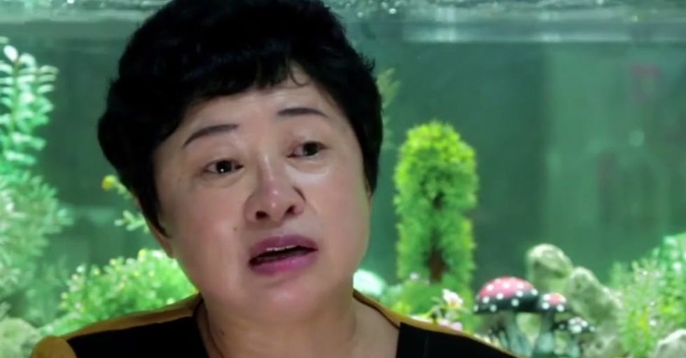 What's it actually like in North Korea? A million times worse than you imagine.