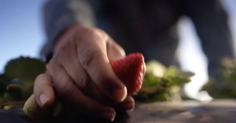 I Wouldn't Eat That If I Were You... It's Not Poison Or Anything, It's Just...