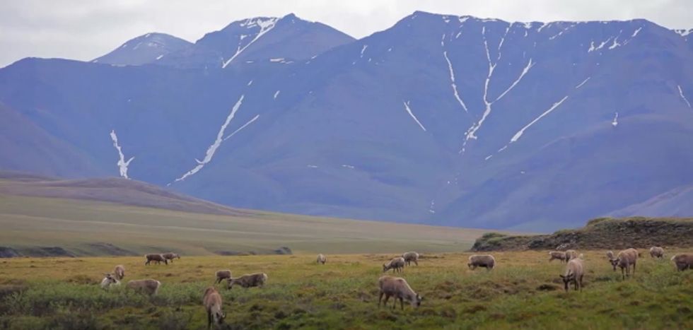 Ever heard of the Gwich'in people? One member is afraid they won't last another 2 generations.