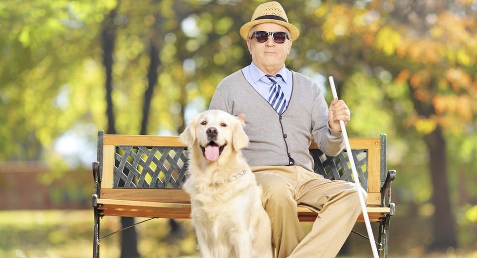 Do Blind People Visualize The World Around Them, Or Intentionally Stop Thinking About It?