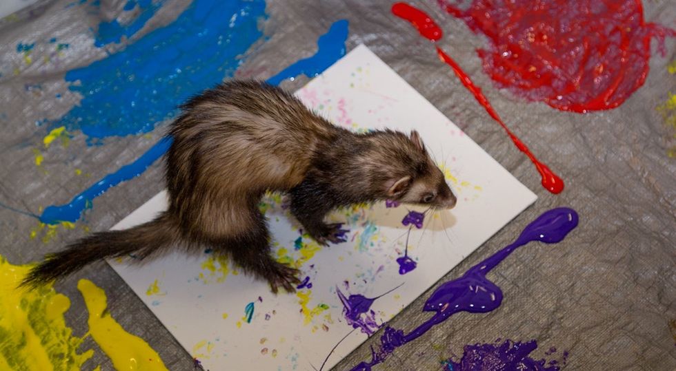 This zoo had their animals make paintings for a good cause. They're adorable.