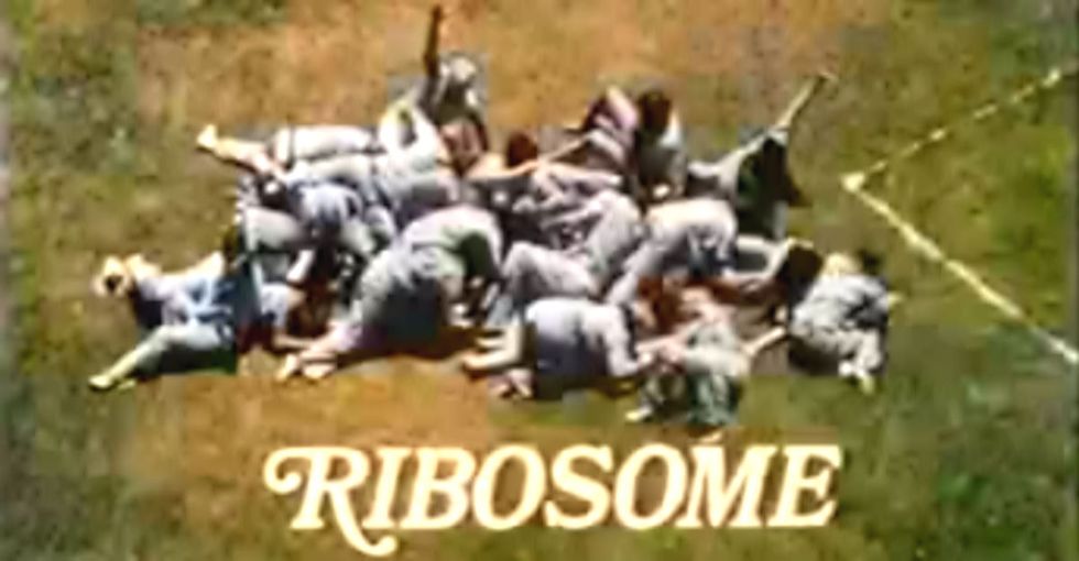 These Awesomely Weird Students Prove Science Doesn't Bore People. Boring People Bore People.