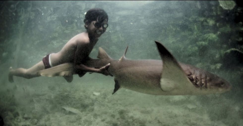 These Kids Literally Swim With Sharks. But What's Really Scary Is How Their Parents Make A Living.