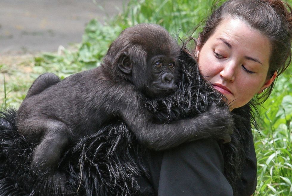10 Living, Breathing Wonders Of The World That Are (Thankfully) Still Living And Breathing
