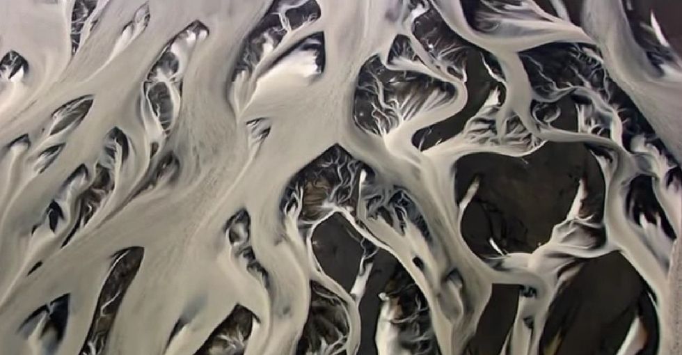 If You Live On Earth, You Must Watch This Video ... And Then Go Hug All The Things