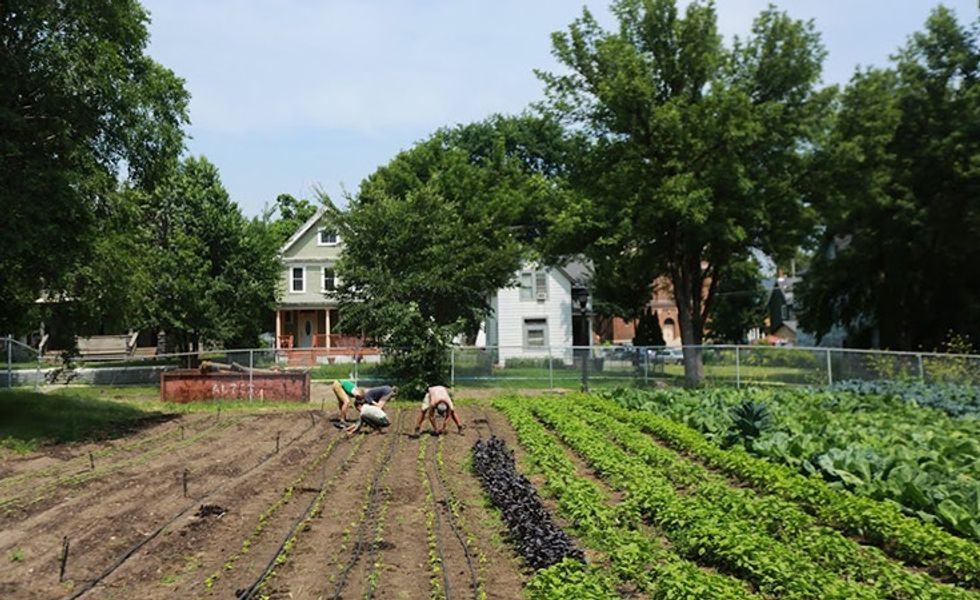 This farm team has been converting vacant lots to tiny farm plots all