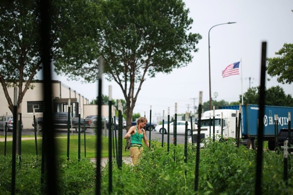 This farm team has been converting vacant lots to tiny farm plots all over Minneapolis since 2011.