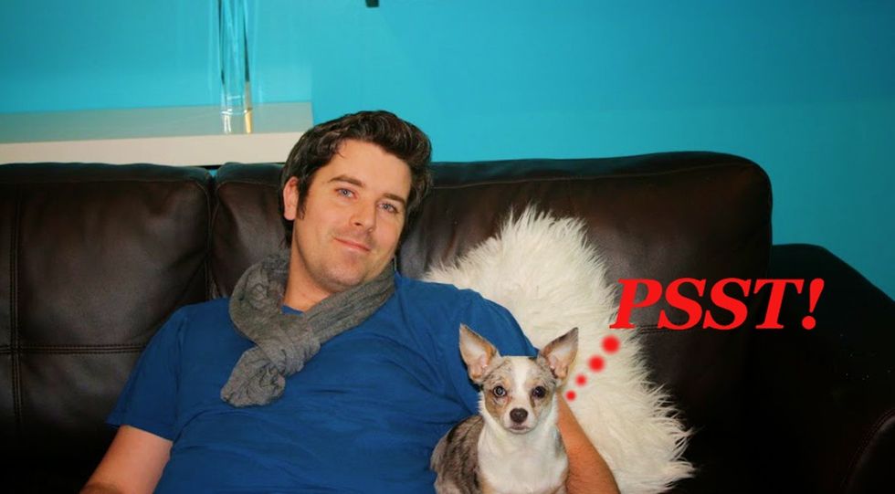 The Jerk Thing Pet Owners Have No Clue They're Doing