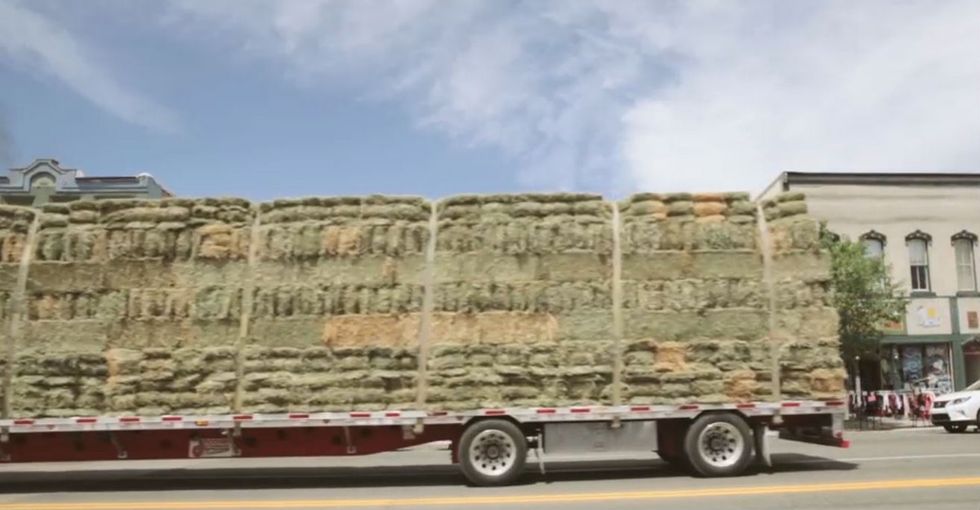 2 Towns Explain What Happened When Pot Became Legal Within Their Borders