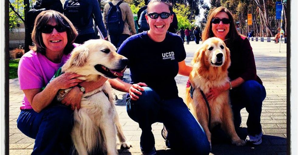 The sweet, furry approach some colleges are taking to ease students' stress is brilliant.