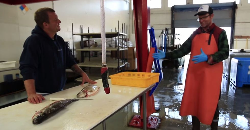 These Guys Are Having Way Too Much Fun Coming Up With Genius Solutions To The World's Problems