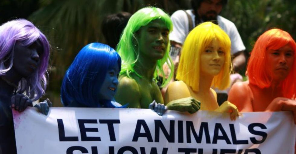 Social Media Shines A Bright Light On How To Save Wild Animals, But It's Also Got A Dark Side