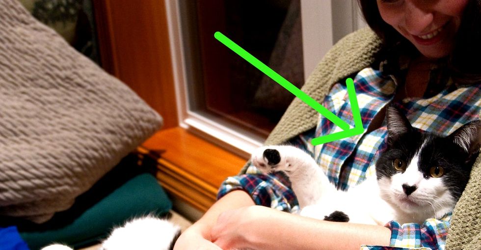 You've Probably Seen Tons Of Cat Videos, But Here's The Coolest Cat Of Them All