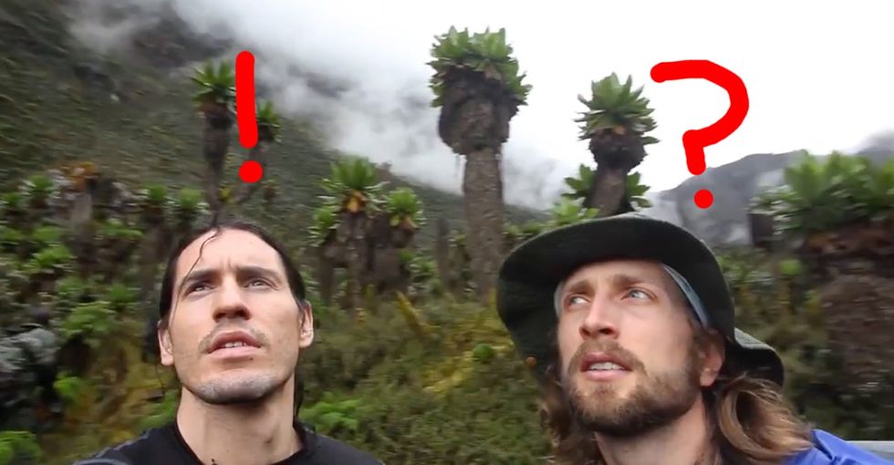 They Went Back To See What Global Warming Had Done And Couldn’t Even Tell Where They Were Standing