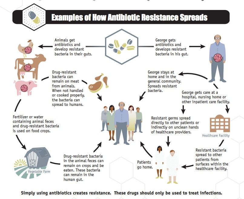 The Center For Disease Control Explains Why Infections Are Spreading In ...