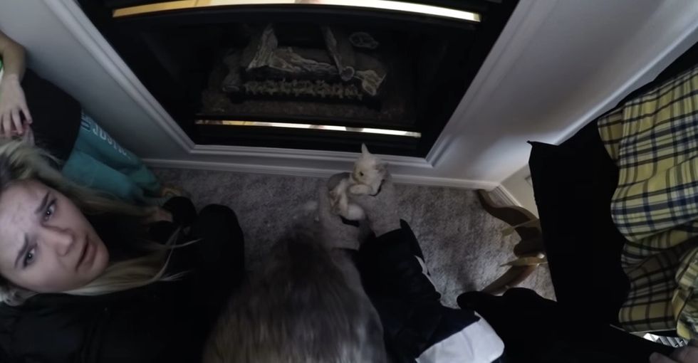 They had a GoPro running when they found a kitten in the snow. See the miraculous rescue.