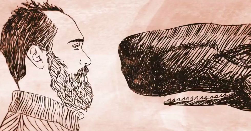 Whales Sing Great Melodies With Fantastic Lyrics. Listen Closely.