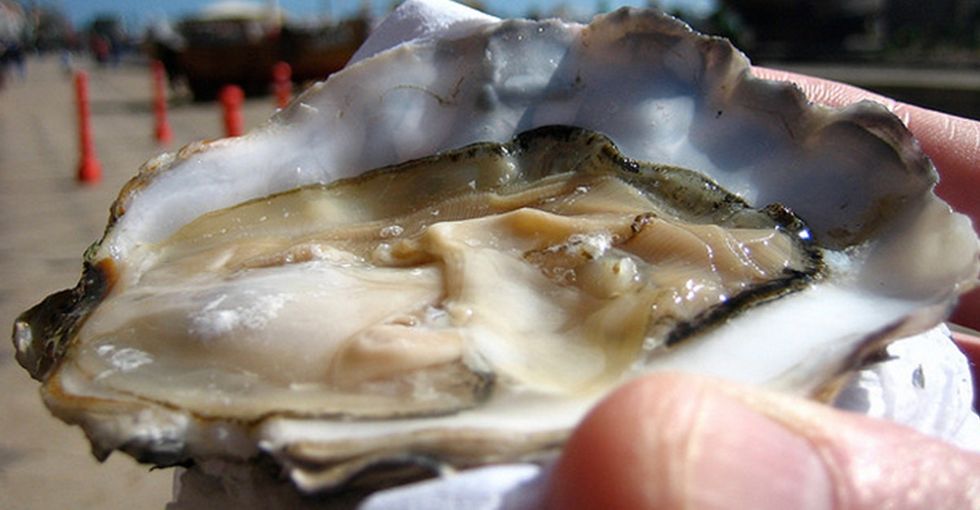 When He Tweeted This Picture Of Oysters, He Probably Wasn't Expecting This Sort Of Response