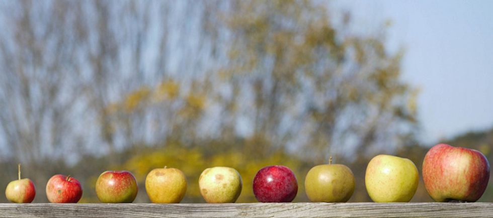 11 things you can do to have a Thanksgiving in the true spirit of the holiday.