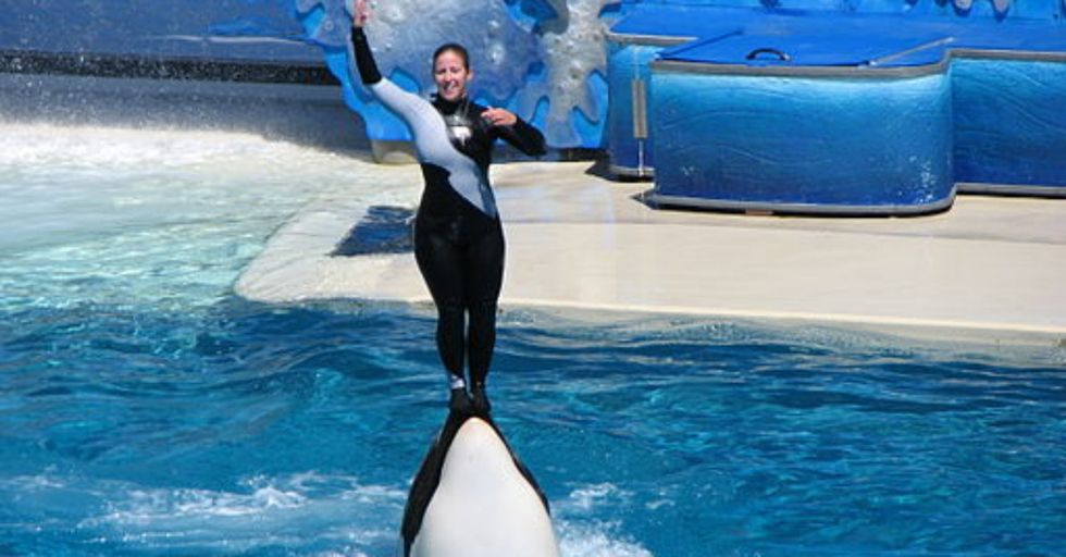 AMAZING: Eighth-Grader Convinces Entire School To Skip SeaWorld