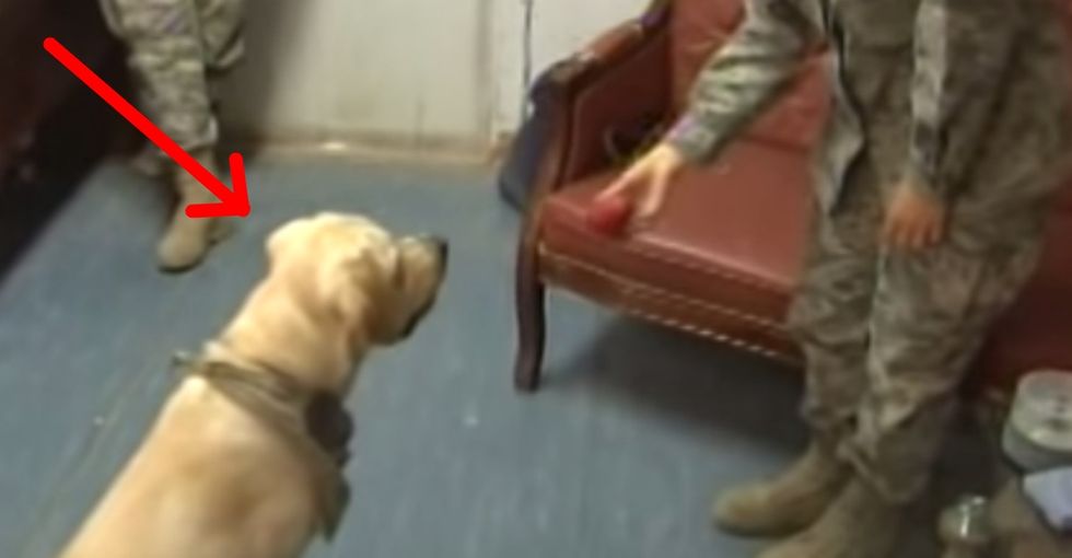 When He Deployed To Afghanistan, He Did 1 Thing And 1 Thing Only: Make People Happy
