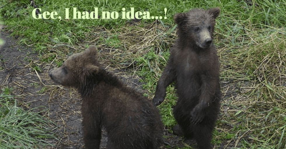 Remember how much you cared about endangered animals when you were a kid? We've got some news...