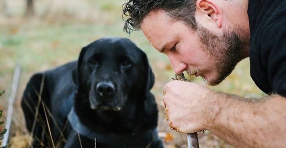 Fall in love with these truffle-hunting rescue dogs.