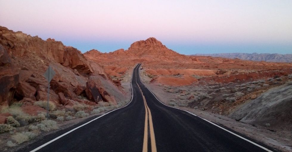 18 nature photos that didn't turn out as planned. Can you spot the mistakes?
